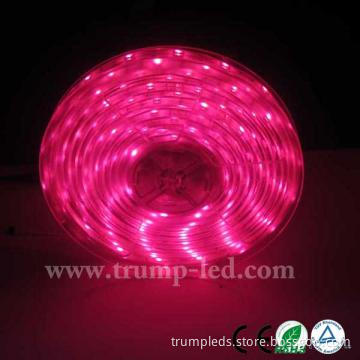 DC12V Super brightness&High quality !!smd led strip 5050 ul warranty